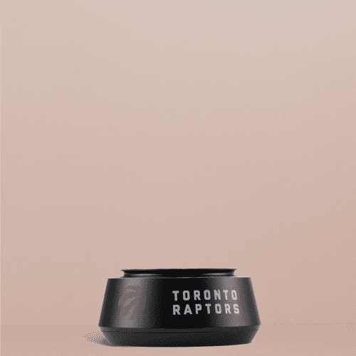 Toronto Raptors